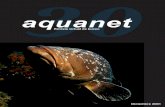 Aquanet 30