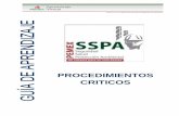 Guia SSPA Procedimientos Criticos