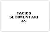 facies sedimentarias (1).ppt
