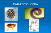 Parasitologia Tema 1