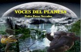 Voces Del Planeta