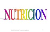 Conceptos  básicos de nutrición