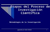 Etapas Del Proceso de Investigacion Cientifica 2009