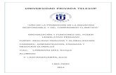 Organizacion y Funciones Del Poder Legislativo Peruano.docx 2