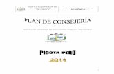 Plan Consejeria Picota