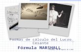 Fórmula Marshall - Alcides - 18 - Ago - 2.010
