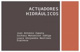 Actuadores Hidráulicos - Zapata