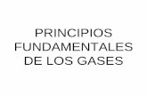 2.-Principios Fundamentales de Los Gases