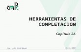 2.1 Herramientas de Completación.ppt
