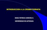 Cromatografia Generalidades NR