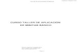 Curso Taller Minitab Basico.pdf