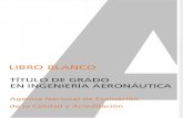 Libroblanco Aeronautica Def