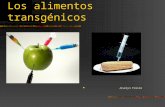 Alimentos transgenicos (2)