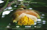 Flora Antioquia Vol I.pdf