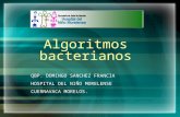 Algoritmos bacterianos