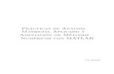 Practicas de Analisis Matricial Aplicado y Ampliacion de Metodos Numericos Con MATLAB