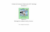 005 Miologia Cab,Cue,Tronco-PDF