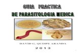 Guia Parasitologia ..Julio 2013