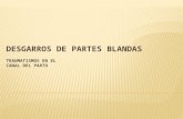 DESGARROS DE PARTES BLANDAS.pptx