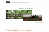 La Biomasa en Andalucia 0