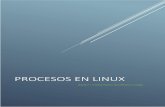 Practica Procesos Linux