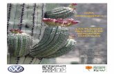 Guia Ecoturistica Las Plantas Del Valle de Tehuacan-cuicatlan Preliminar