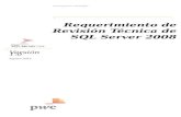 Requerimiento SQL Server 2008