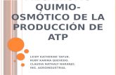 MECANISMO QUIMIO-OSMÓTICO DE LA PRODUCCIÓN DE ATP