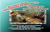 El Salvador Coyuntura Economica No2