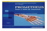 Prometheus - Tomo 1 Anatomía General y Aparato Locomotor