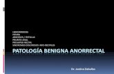 Benigna Anorrectal