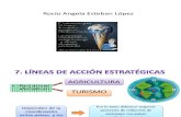 7. Líneas de acción estratégicas
