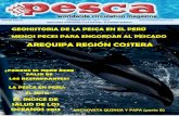 Revista Pesca Diciembre 2013 Web