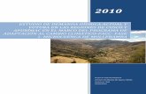 ESTUDIO DE DEMANDA HÍDRICA ACTUAL Y FUTURA EN LAS REGIONES DE CUSCO Y APURÍMAC.pdf
