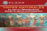 12 Tintes Naturales Maya Mesoamerica Etnobotanica Codice Artesania Prehispanico Colonial Tzutujil Mam