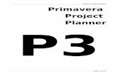 38749556 Manual Primavera Project Planner P3