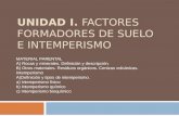 1.2edafologia- Factores Formadores de Suelo e Intemperismo