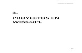 Capitulo 4 Proyectos Winculp