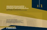 Investigacion Preparatoria y Etapa Intermedia - Problemas de Aplicacion Del Codigo Procesal Penal de 2004