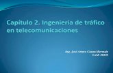 3.- Ingenieria de Trafico en Telecomunicaciones