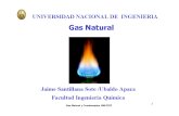 27169141 Gas Natural Aplicaciones y Procesamiento