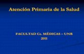Presentación Atención Primaria de la Salud.pdf