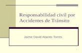 20071201-EGACAL Responsabilidad civil por Accidentes de Tránsito JDAT[1] (1)