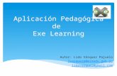 Aplicación Pedagógica eXe