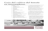 Guia de cultivo de tomate en Invernadero.pdf