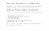 Microsoft Project 2010 v-0