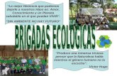 Conformación de Brigadas Ecológicas