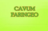 Cavum Faringeo