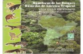 Mamiferos de Los Bosques Humedos de America Tropical - Una Guia de Campo (Laminas)