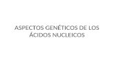ASPECTOS GENÉTICOS DE LOS ÁCIDOS NUCLEICOS